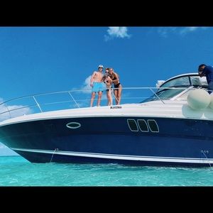 Meet your Posher, Paige